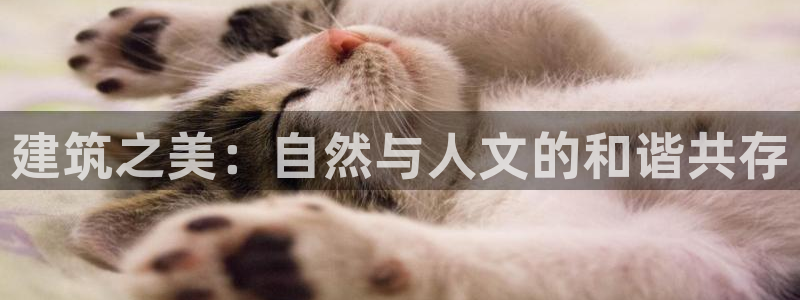 新航娱乐官网地址