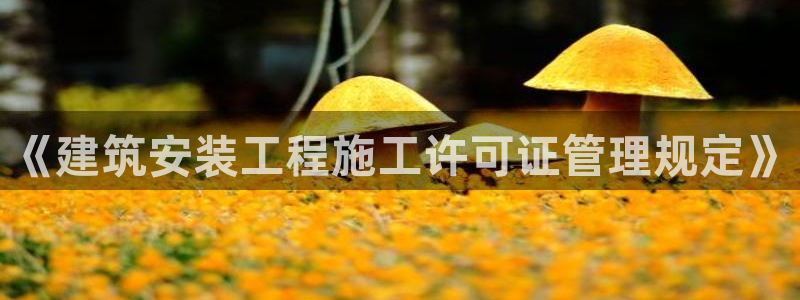 中国新航娱乐官网入口