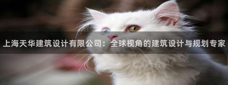 新航娱乐官方