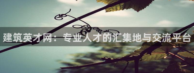 新航路开辟中的娱乐
