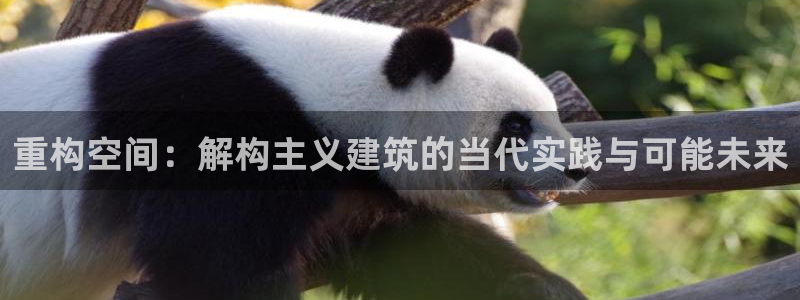 成都中创新航娱乐区