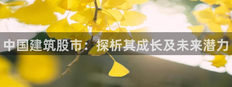 新航娱乐客服电话