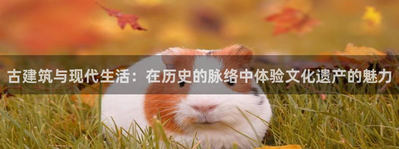 新航娱乐q被骗