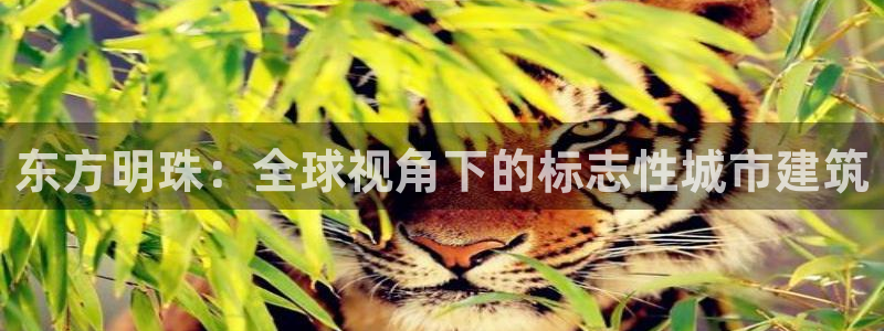 新航娱乐最新产品发布