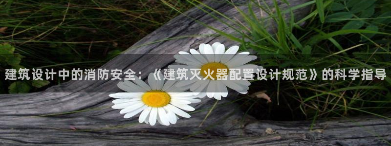 新航娱乐旗下艺人列表