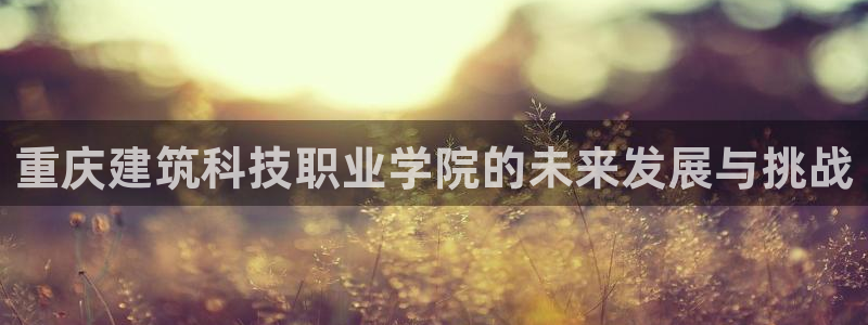 开启娱乐新航线：重庆建筑科技职业学院的未来发展与挑战