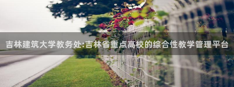新航娱乐公司怎么样