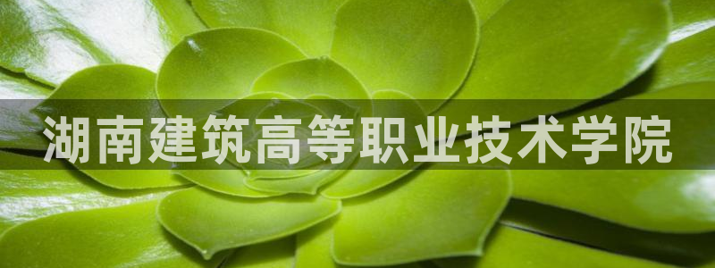 新航娱乐公司简介图片