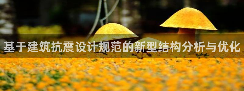 新航娱乐公司地址