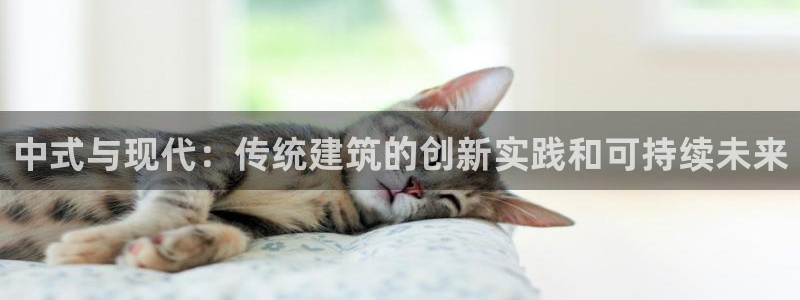 新航娱乐公司招聘信息