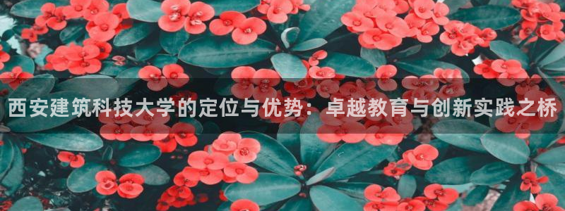 新航娱乐招商