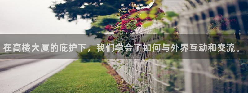 新航娱乐公司简介：在高楼大厦的庇护下，我们学会了如何与外界互动和交流。