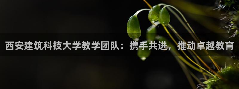 新航足浴娱乐会所