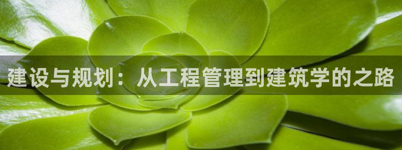 新航娱乐官方