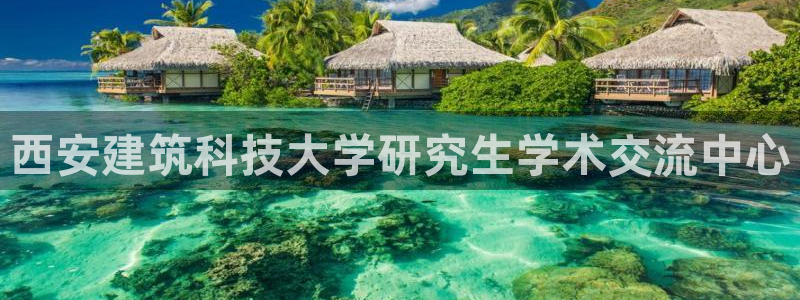 新航文化娱乐传媒招聘