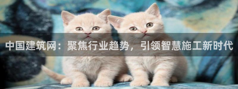 萧山娱乐新航母阿里巴巴