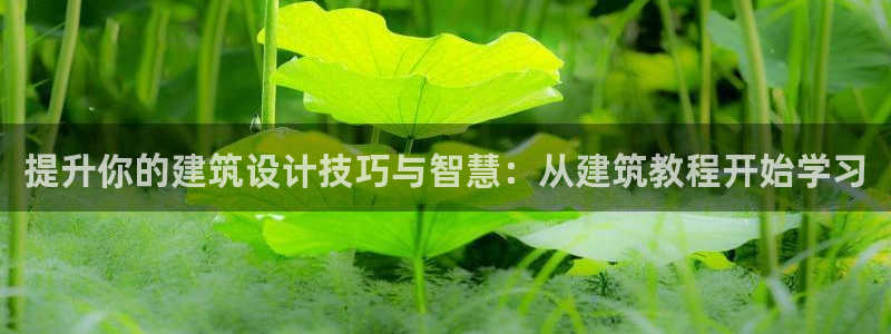 新航文化娱乐传媒