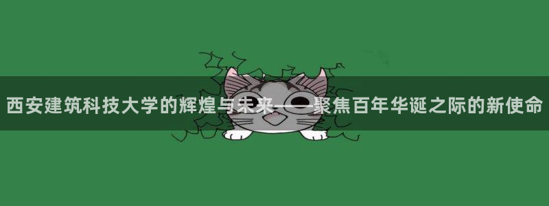 开启娱乐新航线