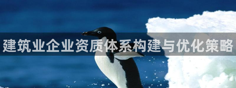 新航娱乐属于什么档次