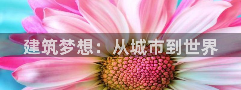 新航娱乐官方网站登录